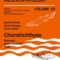 Chondrichthyes · Paleozoic Elasmobranchii: Teeth