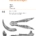 Revision of European Hyotheriinae (Suidae) and Doliochoeridae (Mammalia)