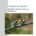 Tierwelt im Wandel