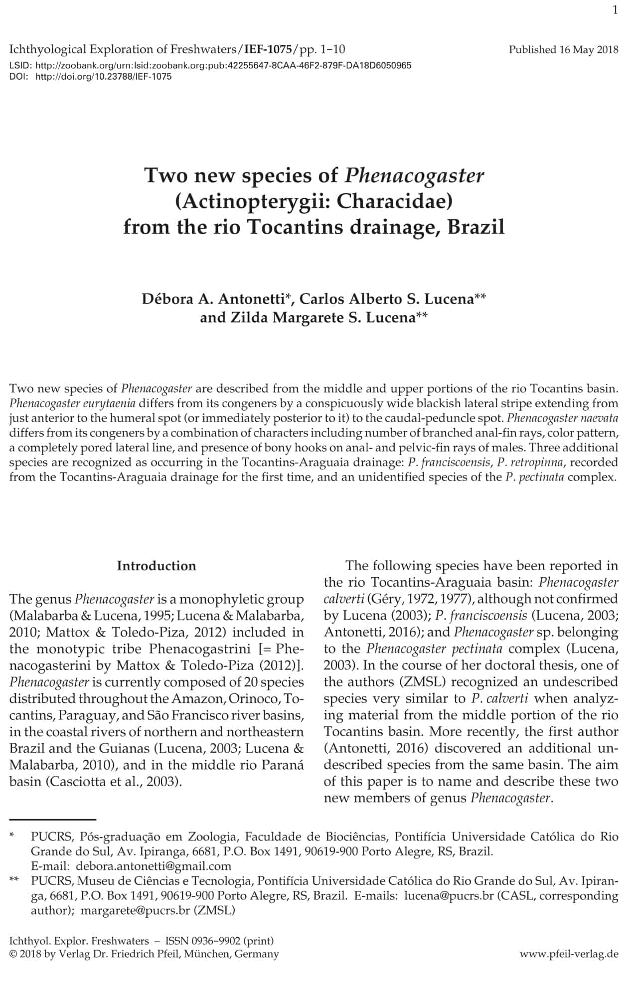 Two new species of Phenacogaster (Actinopterygii: Characidae) from the rio Tocantins drainage, Brazil