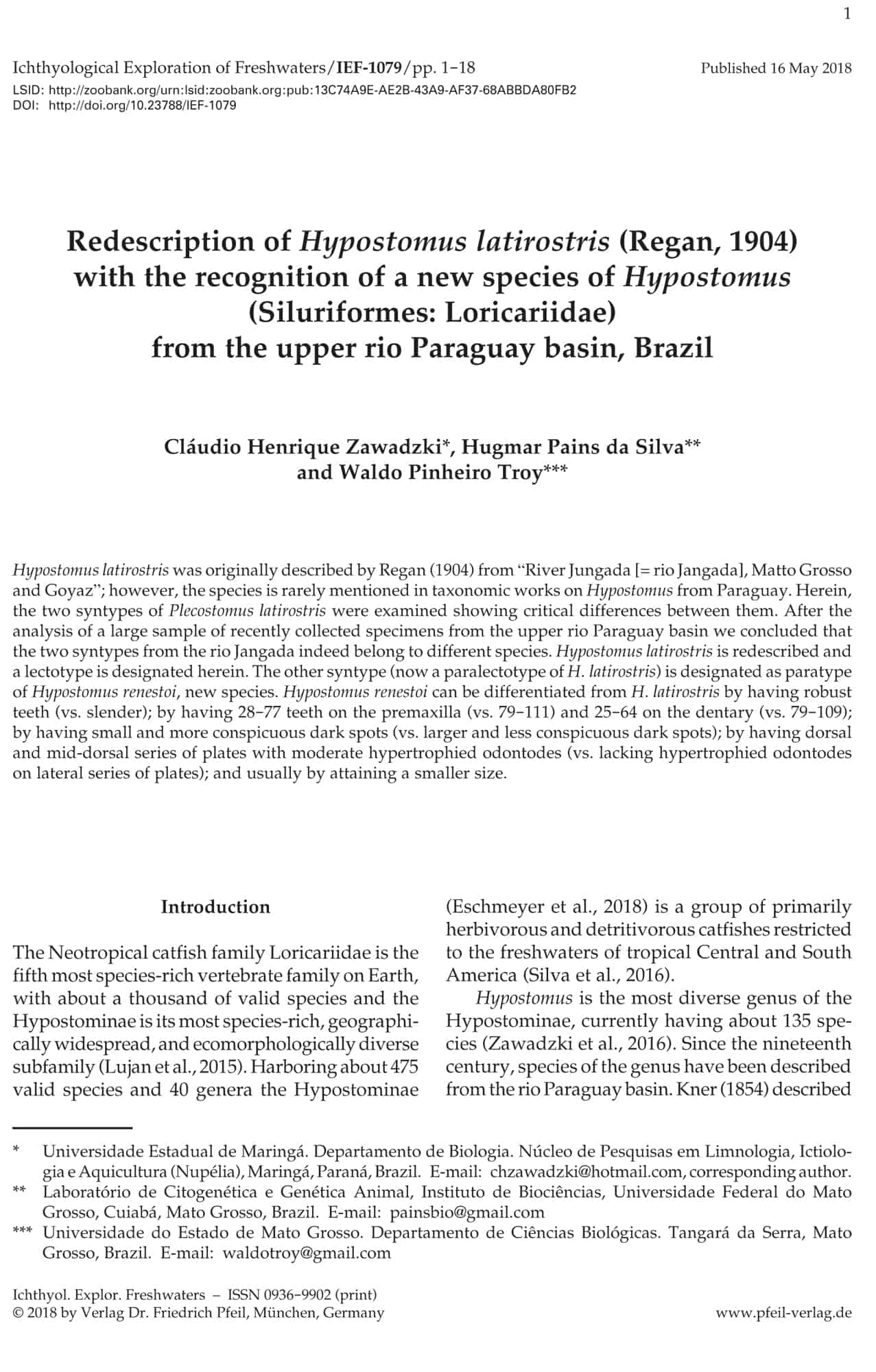 Redescription of Hypostomus latirostris (Regan, 1904) with the recognition of a new species of Hypostomus (Siluriformes: Loricariidae) from the upper rio Paraguay basin, Brazil