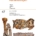 Orycteropodidae (Tubulidentata, Mammalia) from the Early Miocene of Napak, Uganda