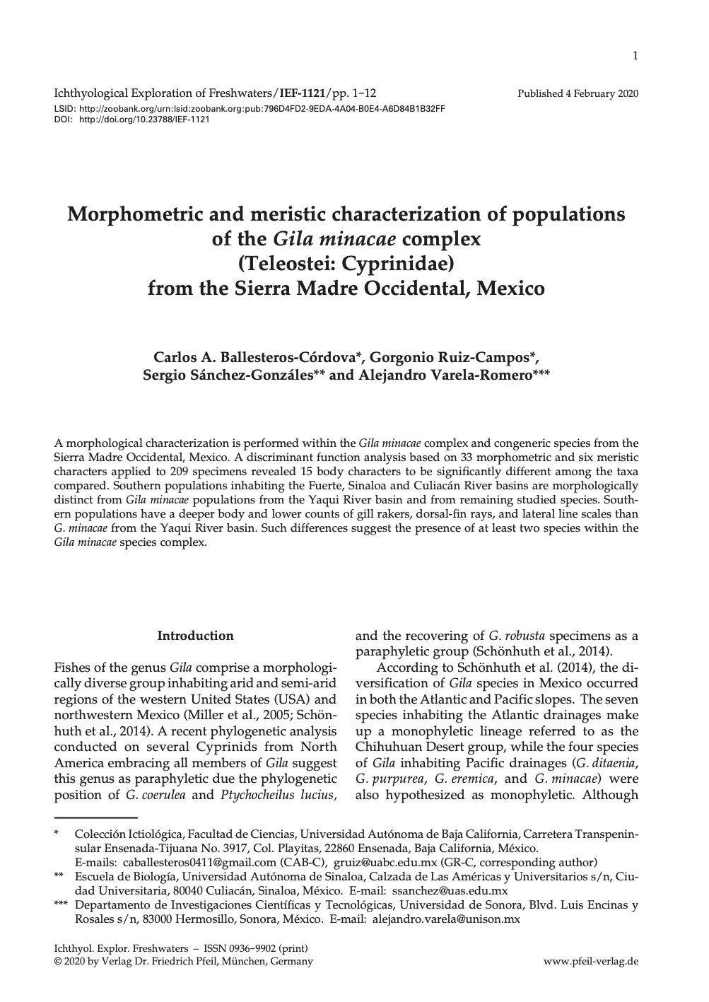 Morphometric and meristic characterization of populations of the Gila minacae complex (Teleostei: Cyprinidae) from the Sierra Madre Occidental, Mexico
