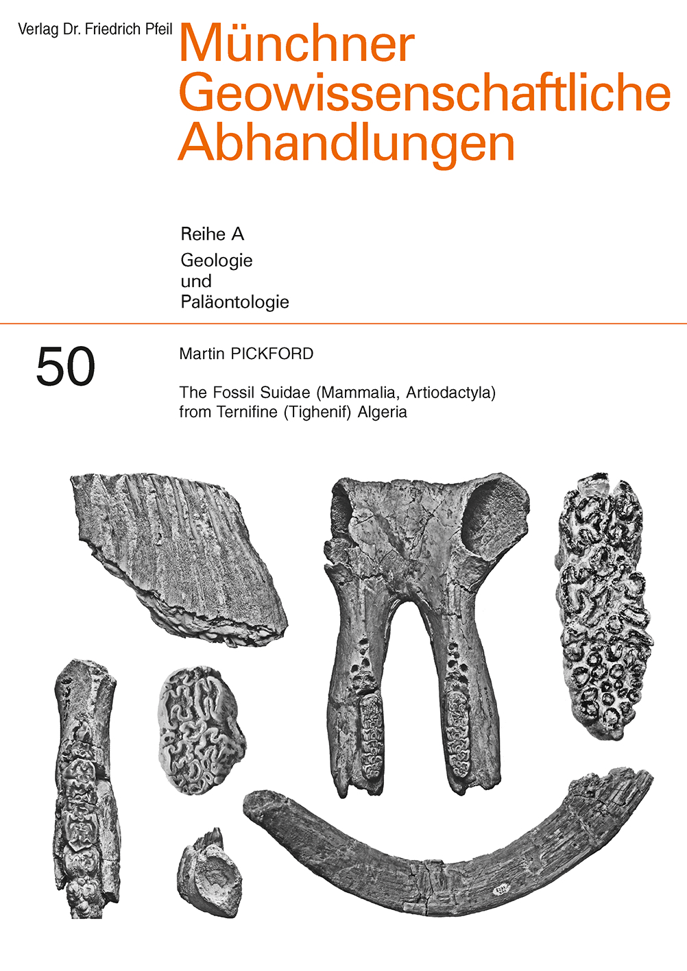 The Fossil Suidae (Mammalia, Artiodactyla) from Ternifine (Tighenif) Algeria