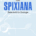 SPIXIANA - Zeitschrift für Zoologie Volume 4