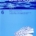 A revision of the ostariophysan fish family Chanidae, with special reference to the Mesozoic forms
