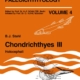 Chondrichthyes III - Holocephali