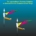 The superordinate Pterosaur Evolution