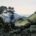 Martius, C. F. Ph. v.: Brasilianische Reise 1817-1820 - Wald auf dem Corcovado, Rio de Janeiro Aquarell 4
