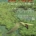 Las Hoyas: A Cretaceous Wetland