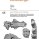 Revision of African Kubanochoerinae (Suidae: Mammalia) with descriptions of new fossils from the Middle Miocene Aka Aiteputh Formation, Nachola, Kenya