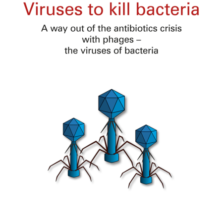 Viruses to kill bacteria