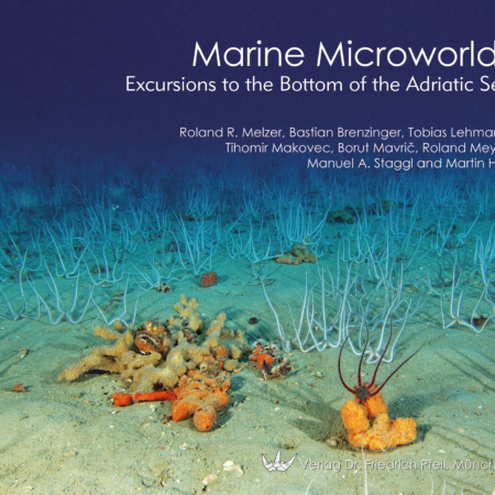 Marine Microworlds