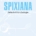 SPIXIANA - Zeitschrift für Zoologie Band 45