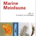 Guide to the Identification of Marine Meiofauna