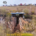 Der Geopark Grenzwelten